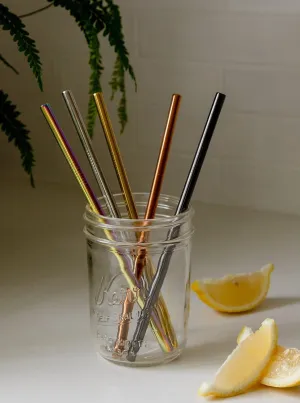 Stainless Steel Straw - Straight